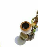 Young Man Stand Pipe
